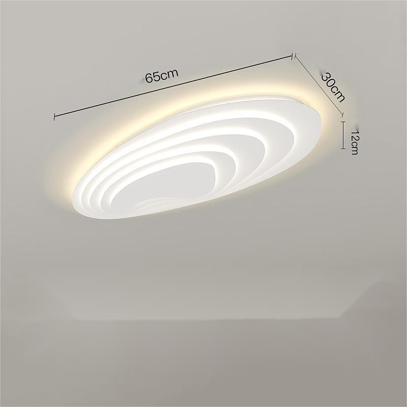 Modern Ceiling Light Dimmable with Remote Contral 56cm Flush Mount Ceiling Lamp Acrylic Lampshade Chandelier Bedroom Living Room2