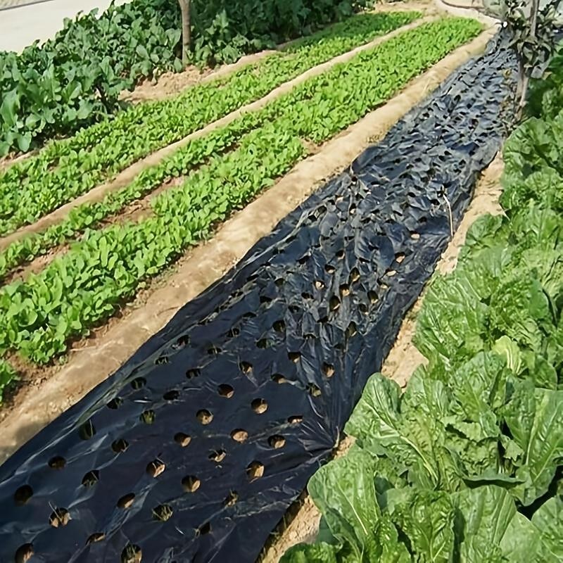 Plastic Film With Planting Holes, Garden Weed Control Barrier Film Mulching Breathable Gardening Farming Landscape Sheeting For Moisture Temperature Maintaining4