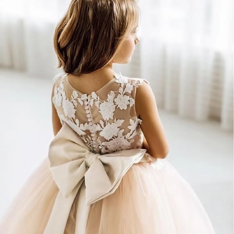 Kids Girls' Flower Girl Dress Party Dress Solid Color Sleeveless Performance Wedding Party Mesh Princess Sweet Mesh Mid-Calf Sheath Dress Floral Embroidery Dress Tulle Dress Summer Spring Fall 2-122