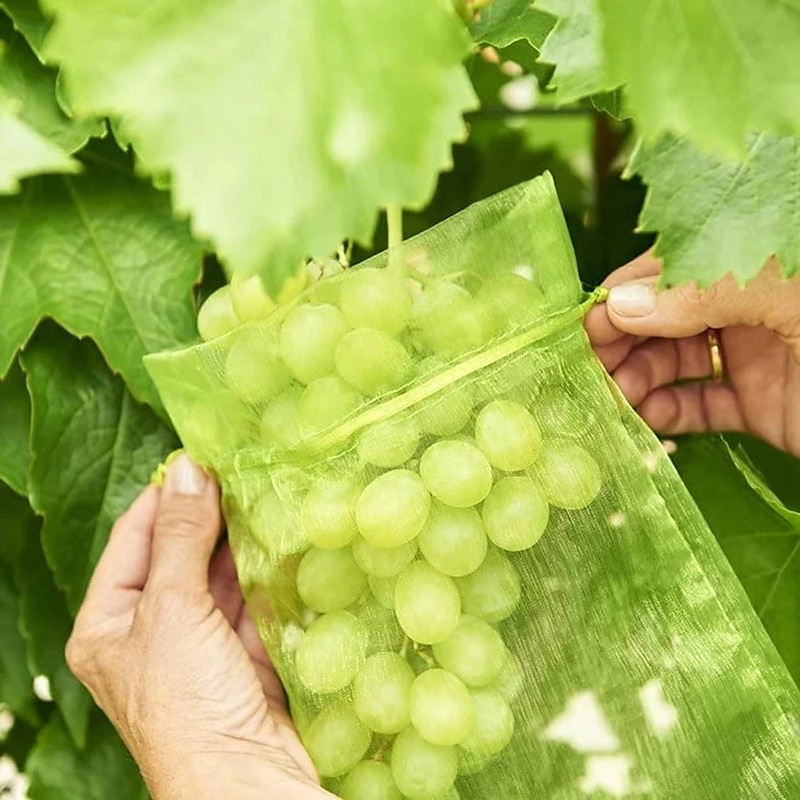50Pcs Grapes Fruit Protection Bags Garden Mesh Bags Agricultural Orchard Pest Control Anti-Bird Netting Vegetable Bags3