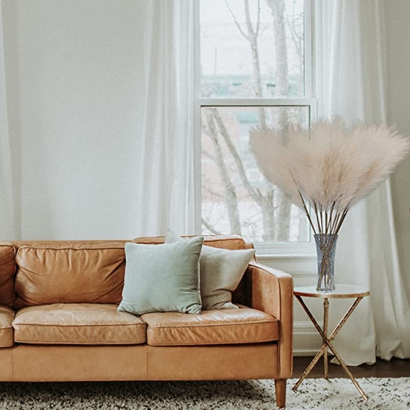 5pcs Wedding Mini Pampas Reed Grass INS Wind Simulated Flower Factory Home Decoration Wholesale Artificial Flowers4