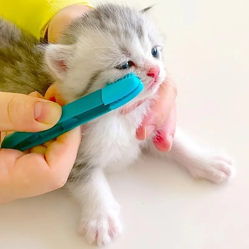 Keep Your Pet's Eyes Clean and Healthy with This 1pc Silicone Cat Mucus Brush2