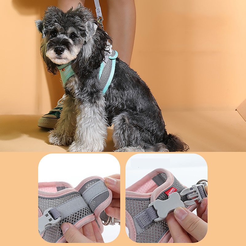 Pet Harness & Leash Protect Your Cat With This Cat Leash Breathable Reflective Multicolor Design Harness2