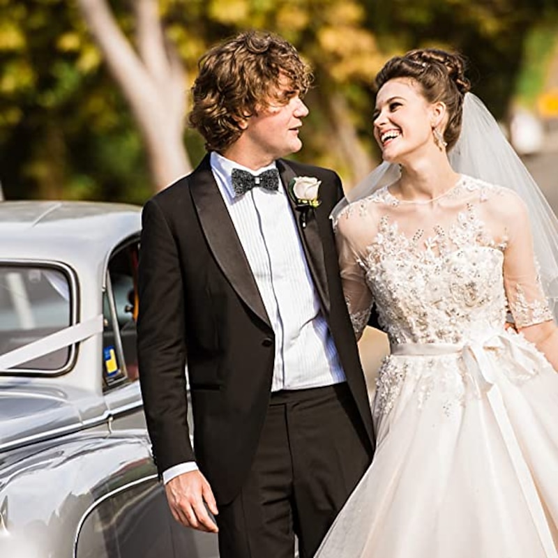 Men's Party Bow Tie Bow Fashion men's diamond-studded star bow tie bow trendy party Accessories Men Luxury Sparkling Diamante Bowties Silver crystal and gem bow tie4