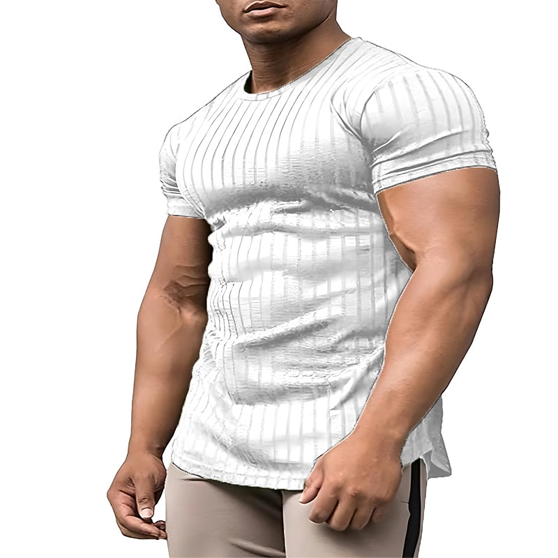 Men's T Shirt Cool Shirt Short Sleeves Crew Neck Summer Striped Designer Basic Modern Contemporary Vacation Street Going out Black White Wine Top Tee for Men4