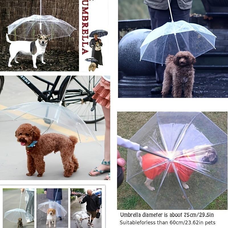Pet Supplies Pet Umbrella Teddy Small Dog Walking Umbrella With Leash Dog Leash3