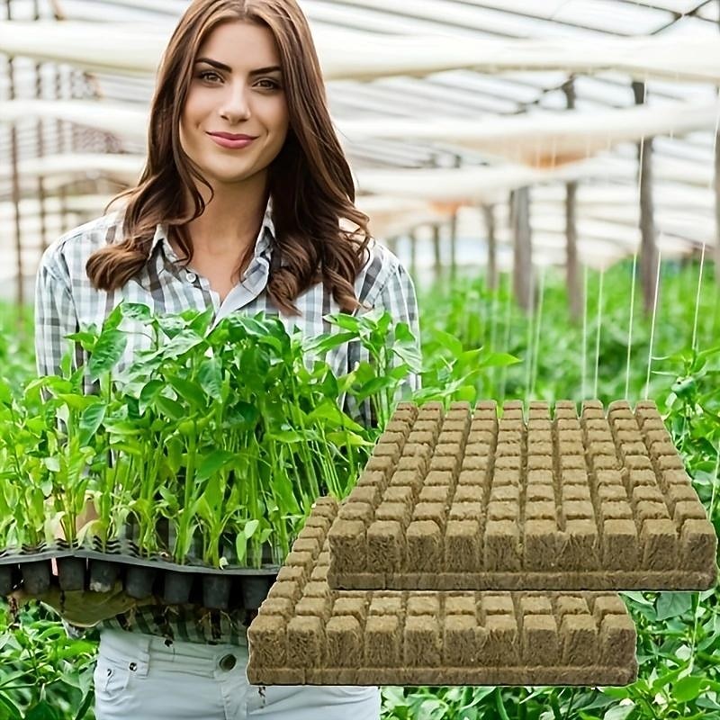 100pcs/bag Mini Compress Base Practical Rockwool Cubes Multifunction Media Blocks Garden Hydroponic Grow Soilless Cultivation 25x25x25mm2