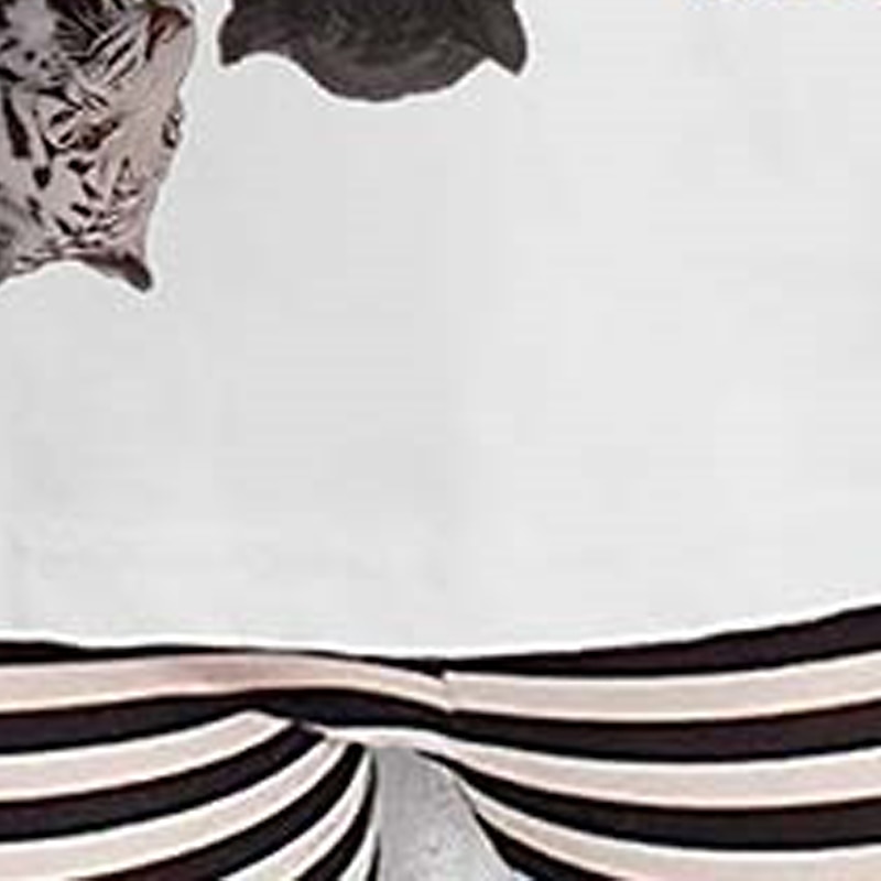 Girls' 3D Graphic Cat Dog T shirt Tee Short Sleeve 3D Print Summer Spring Active Fashion Cute 100% Cotton Kids 3-12 Years Outdoor Casual Daily Regular Fit4