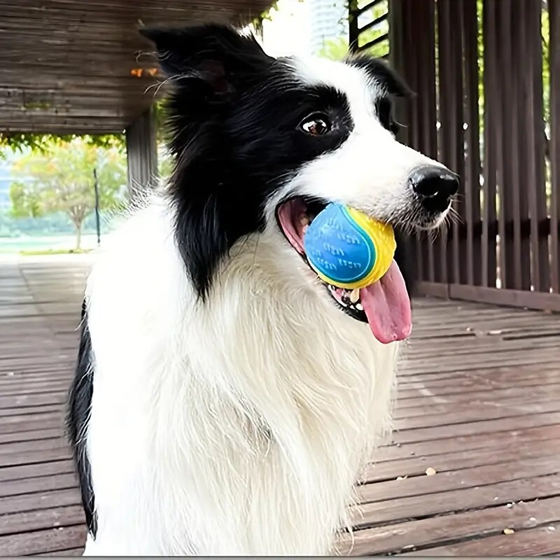 1pc Pet Dog Ball Toy Squeaky Toy For Dog Chew Toy Puppy Molar Toy Dog Interactive Toys Random Color3