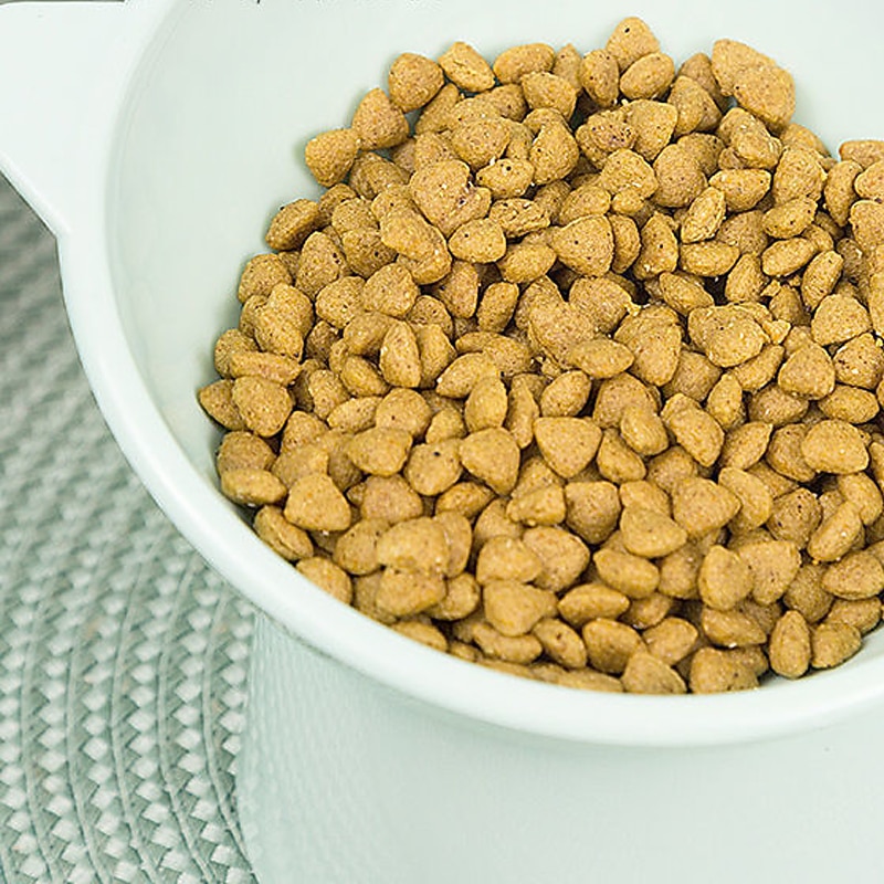 High Foot Pet Dog Cat Rice Bowl Food Bowl High Foot Neck Protection Slow Food Cute Shallow Mouth Rabbit Bowl Supplies4