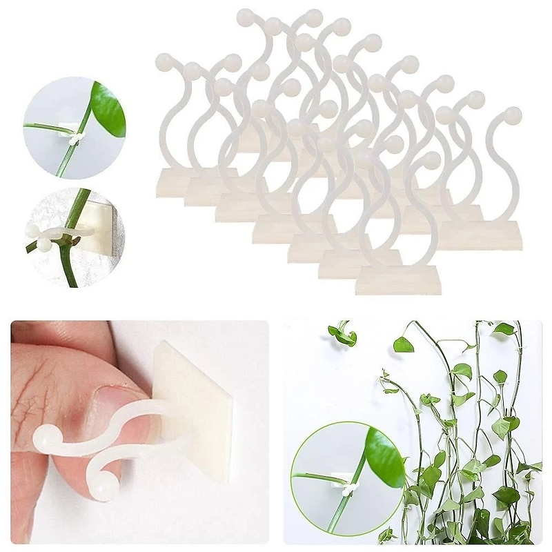 20pcs Plant Climbing Wall Fixture Clips, Vine Fixer Invisible Self-Adhesive Hook Plant Vine Traction Wall Vines Fixture Wall Sticky Hook Vines Fixing Clip Vines Holder2