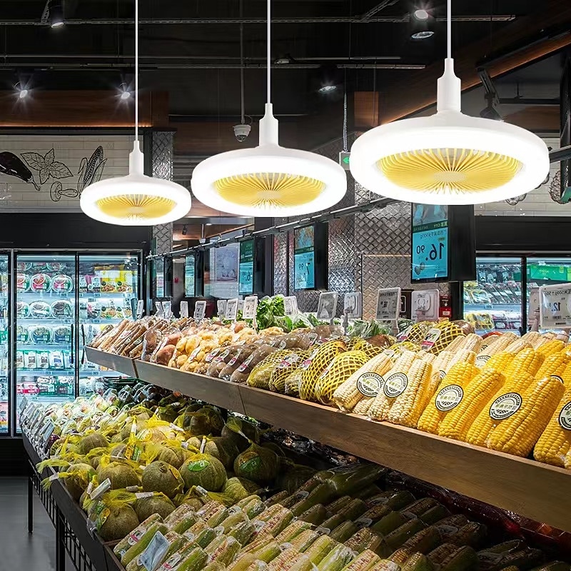 Ceiling Fan with Light Remote Control CABLE E26 SOCKET INCLUDE 10 Inch Enclosed Ceiling Fan Dimmable 3 Light Color, 3 Speed LED Low Profile Flush Mount Ceiling Fan for Kitchen