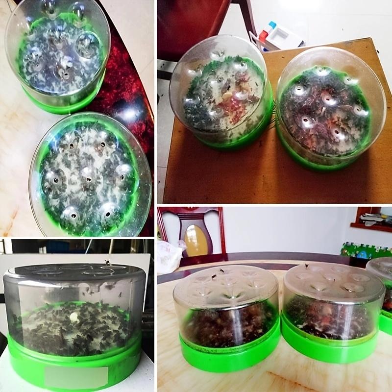 Automatic Fly Trap Fly Killer Home Garden Restaurant Fly Trap To Catch Canteen Fly Machine Indoor INSECT TRAP4