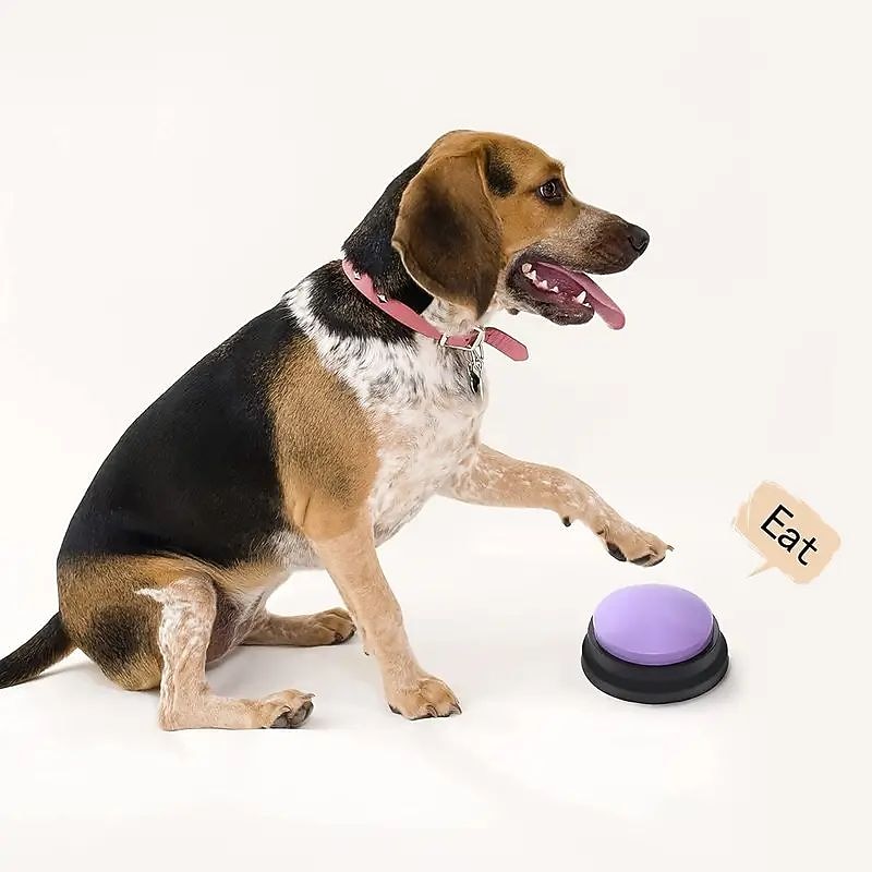 Pet Communication Button Dog Voice Box Training Speaking Toy Recording Speaker Squeeze Box Voice3