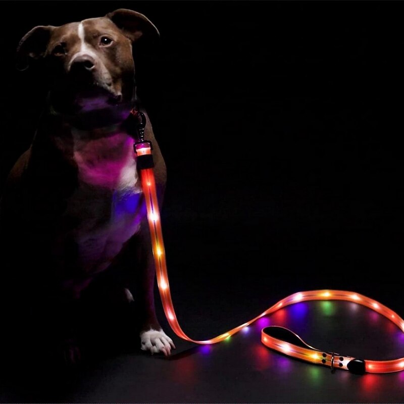 LED Light Up Dog Leash Glow In The Dark Safety at Evening Walks High Visibility Rechargeable Waterproof  4Ft Length