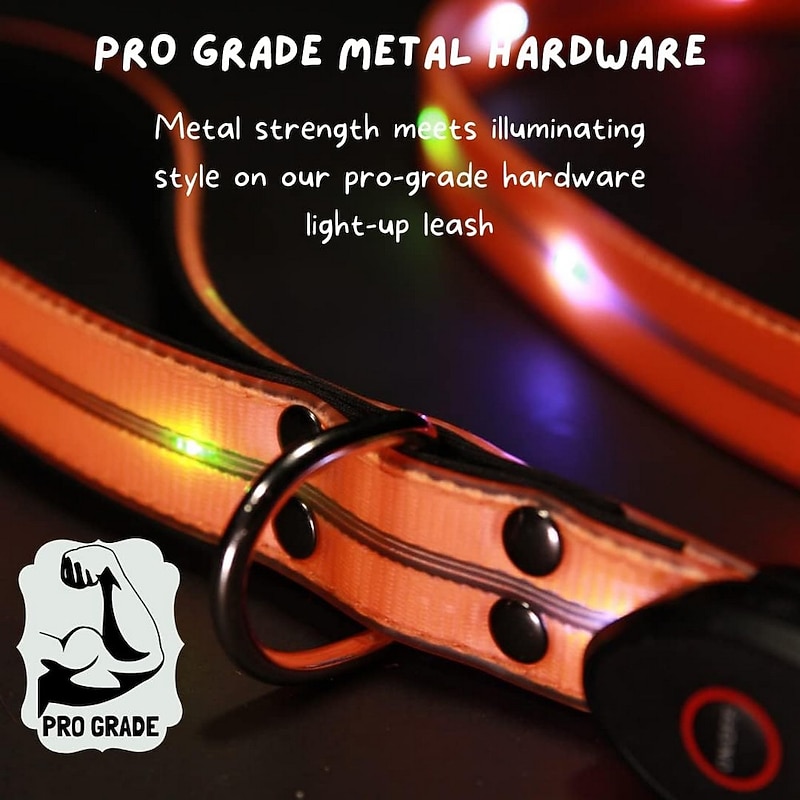 LED Light Up Dog Leash Glow In The Dark Safety at Evening Walks High Visibility Rechargeable Waterproof  4Ft Length4