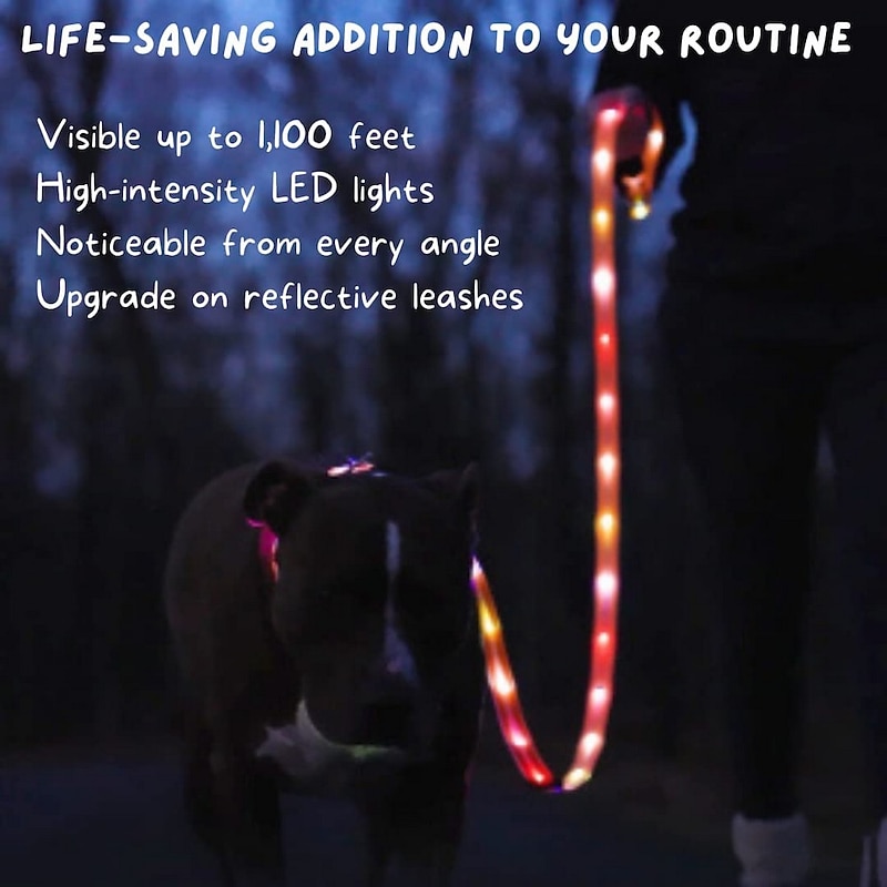 LED Light Up Dog Leash Glow In The Dark Safety at Evening Walks High Visibility Rechargeable Waterproof  4Ft Length2