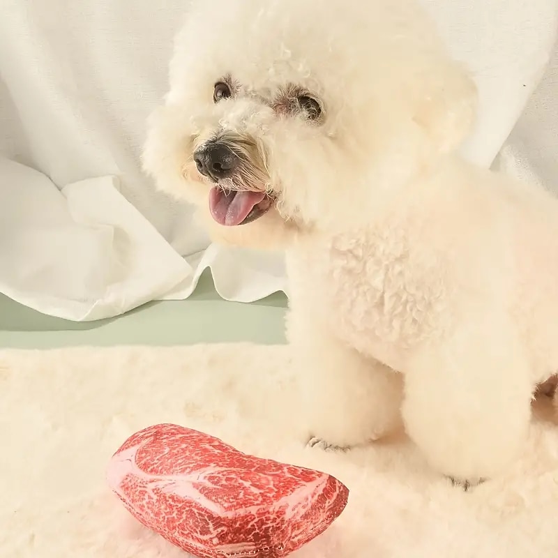 Interactive Steak-Shaped Pet Chew Toy - Keep Your Dogs & CatsEntertained for Hours!