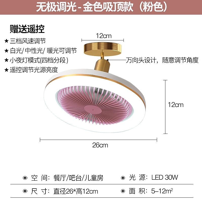 Ceiling Fan with Light Remote Control 30W 10 Inch Pendant Lighe Enclosed Ceiling Fan Dimmable 3 Light Color, 3 Speed LED Low Profile Flush Mount Ceiling Fan for Kitchen 85-265V2