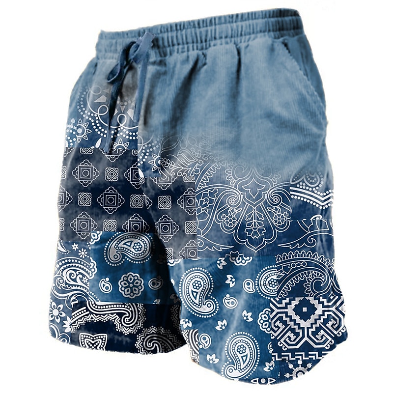 Men's Graphic Paisley Shorts Summer Shorts Beach Shorts Mid Waist Streetwear Hawaiian Designer Casual Daily Holiday Drawstring Elastic Waist 3D Print Designer Clothing Apparel