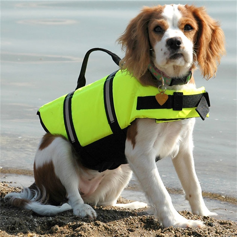 Dog Vest Life Vest Dog Life Jacket Fashion Reflective Sports & Outdoors Safety Beach Pool Dog Clothing for Husky Golden Retriever Bichon Frise Pomeranian Small