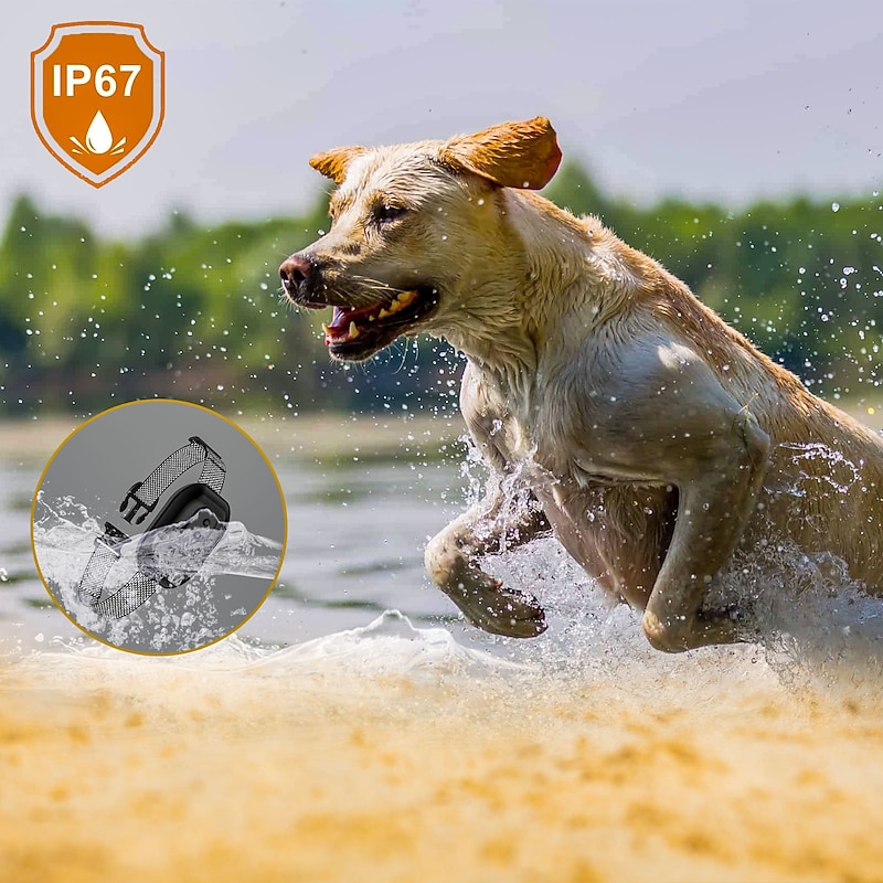 Pet Bark Stopper Intelligent Identification Charging Waterproof Electric Shock Dog Training Collar Dog Training Device2