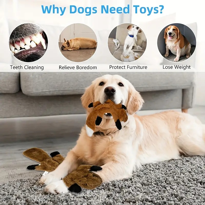 Durable Dog Toy for Small to Medium Dogs Squeaky Plush Chew Toy with No Stuffing!2