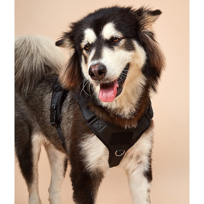 Tactical Dog Harness Vest Military Dog Vest with Handle Service Dog Harness Moll Loop Panels Working Dog Harness4
