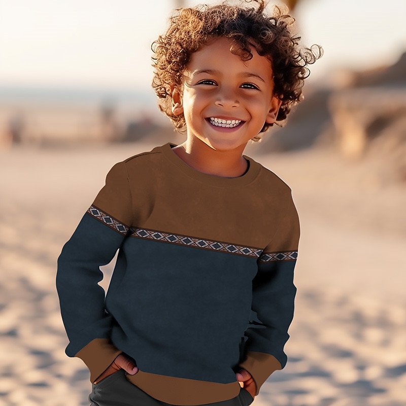 Boys' 3D Graphic Geometric Color Block Sweatshirt Long Sleeve 3D Print Summer Fall Vintage 3D Print Designer Kids 3-12 Years Outdoor Casual Daily Regular Fit4