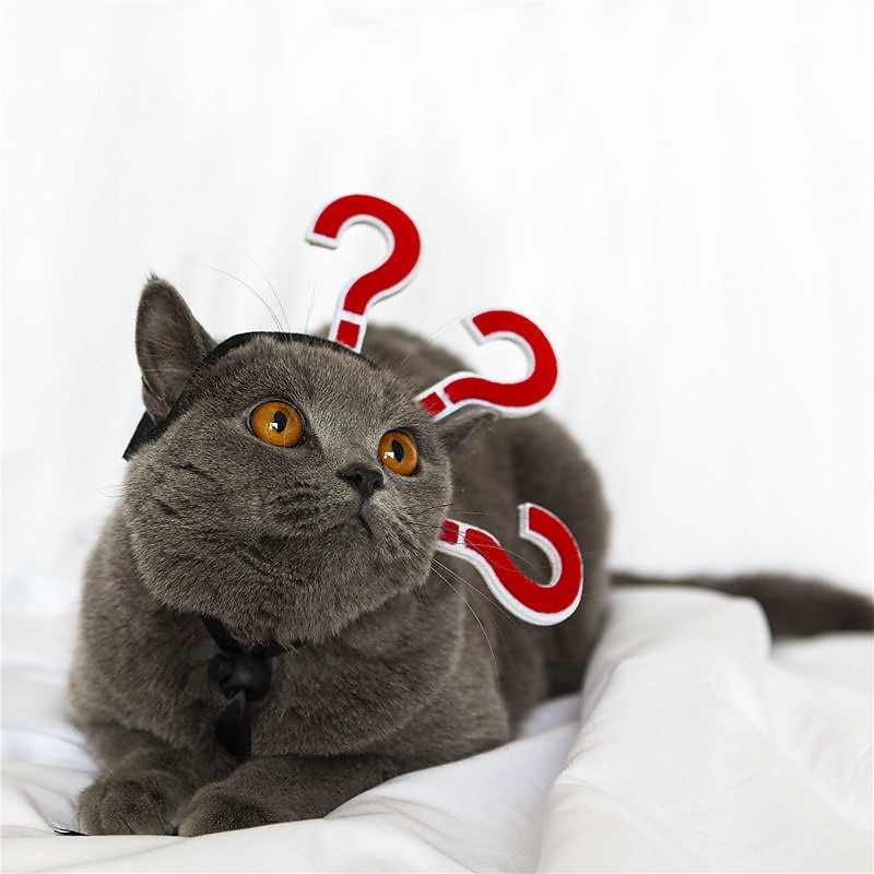 Dog Cat Bandanas & Hats Halloween Outfit Headpieces Funny Winter Soft Washable Comfortable Halloween Outdoor Casual Daily Dog Clothing for Bichon Frise Pomeranian Baby Pet Papillon Small3