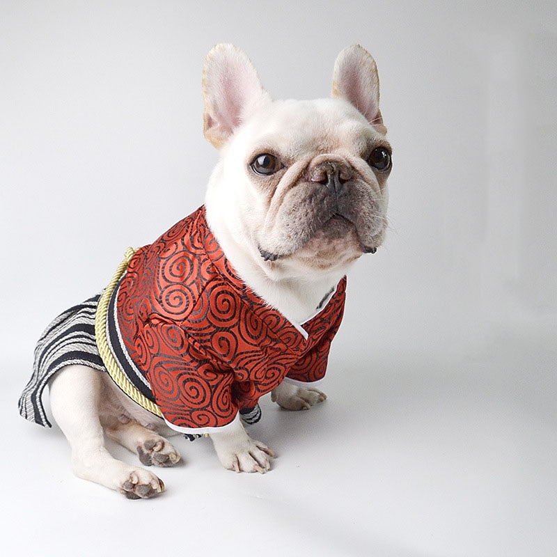 Dog Cat Halloween Costumes Costume Halloween Outfit Cosplay Funny Winter Soft Washable Comfortable Halloween Outdoor Halloween Casual Daily Dog Clothing for Bichon Frise Pomeranian Baby Pet Papillon3