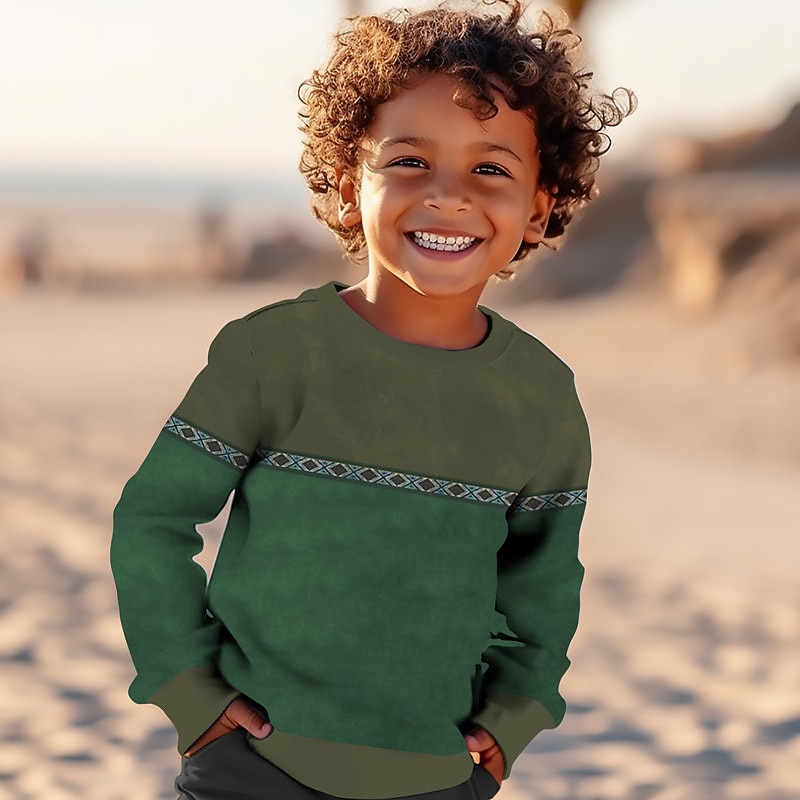 Boys' 3D Graphic Geometric Color Block Sweatshirt Long Sleeve 3D Print Summer Fall Vintage 3D Print Designer Kids 3-12 Years Outdoor Casual Daily Regular Fit3