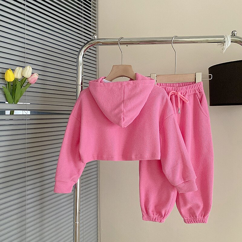 3 Pieces Kids Girls' Letter Embroidered Hoodie & Sweatpants Set Set Long Sleeve Fashion Outdoor Cotton 3-7 Years Spring Pink Gray2