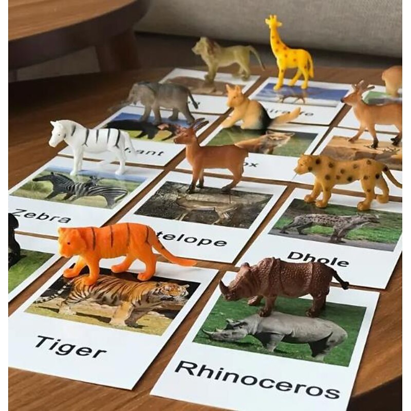 Montessori Teaching Aids Animal Model Card Matching Literacy Literacy English Card Language Teaching Aids Early Childhood Education Toys Back to School Gift for Christmas Gifts2