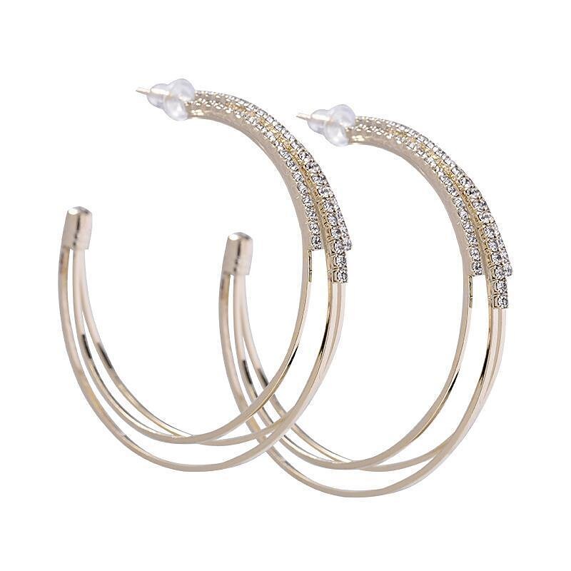 1 Pair Hoop Earrings For Women's Birthday Party Evening Gift Alloy Classic Fashion4