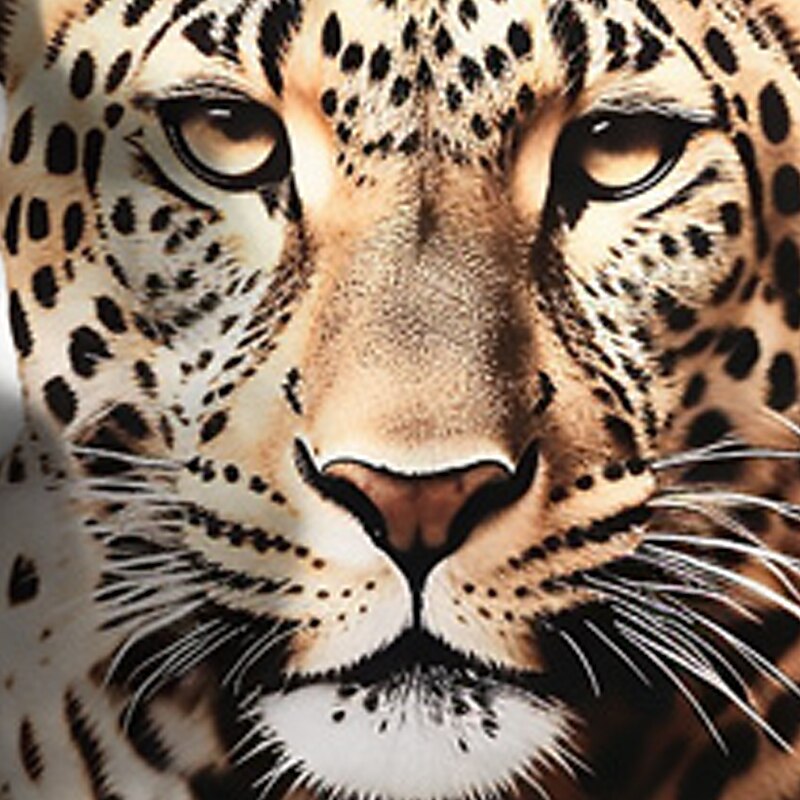 Boys 3D Graphic Animal Leopard T shirt Tee Short Sleeve 3D Print Summer Spring Active Sports Fashion Kids 3-12 Years Outdoor Casual Daily Regular Fit3