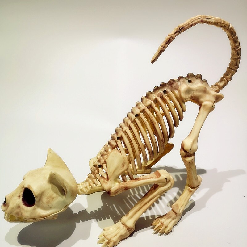 Scary Cat Skeleton Halloween Plastic Cat Skeleton Halloween Decoration Outdoor Halloween Decoration Beige4