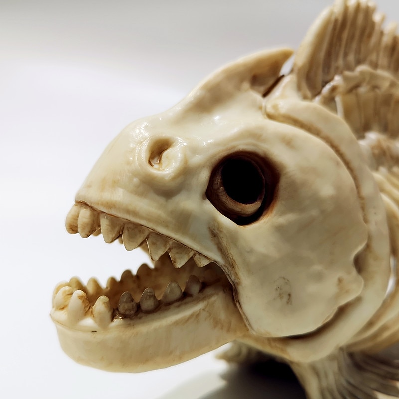 Halloween Fish Skeleton Modelfish Skeleton Halloween Skeleton Decoration Skeleton Ornament-Fish Tank Plastic Simulation Fish Bones Ornaments Party Decoration3