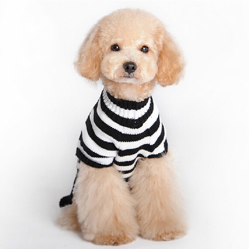 Dog Cat Sweater Jumper Fashion Cool Winter Warm Breathable Soft Washable Comfortable Outdoor Halloween Casual Daily Dog Clothing for Bichon Frise Pomeranian Baby Pet Papillon Small