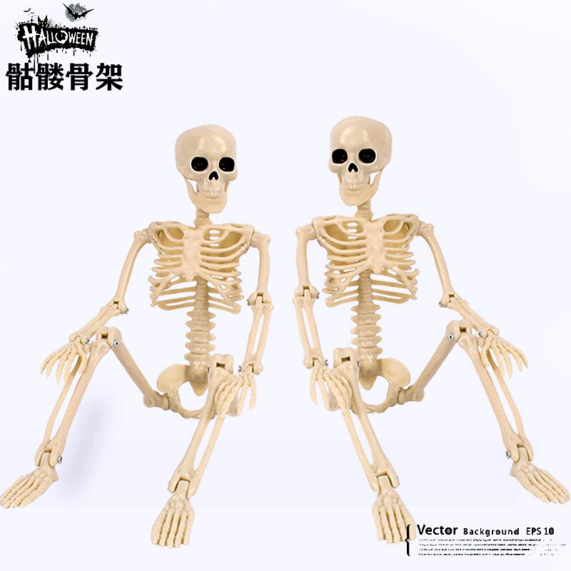 Halloween Skeletons | Full Body Posable Joints Skeletons for Halloween Decoration, Graveyard Decorations, Haunted House Accessories3