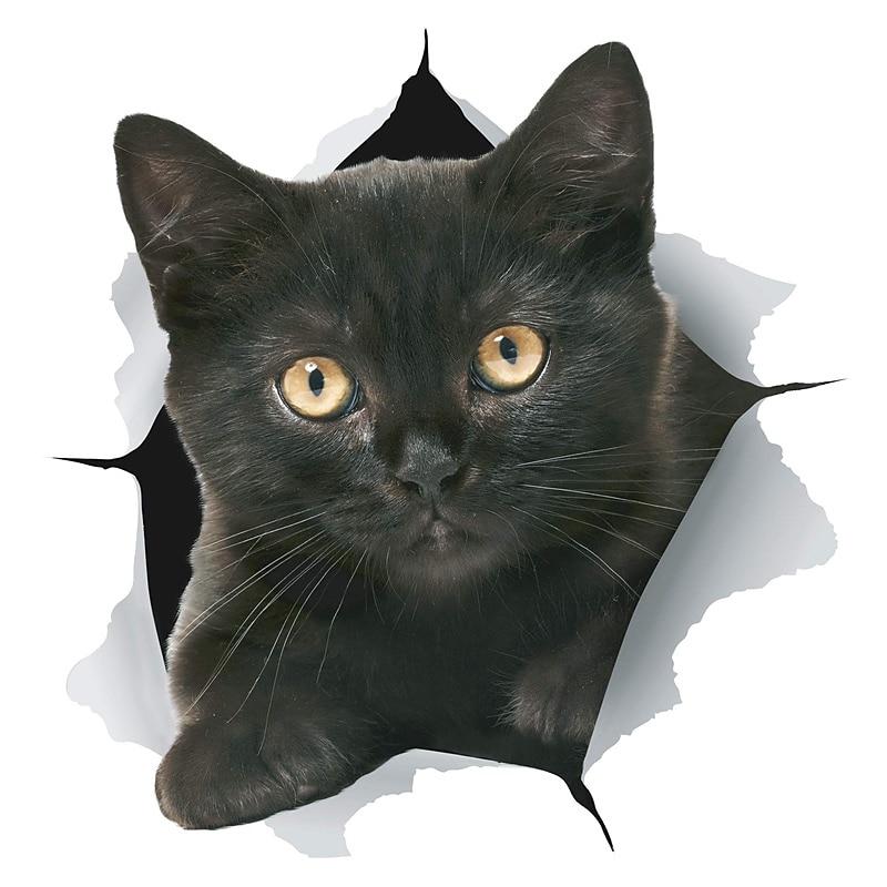 Winston & Bear 3D Cat Stickers - 2 Pack - Black Cat Wall Decals - Cat Wall Stickers for Bedroom - Fridge - Toilet - Car - Retail Packaged4