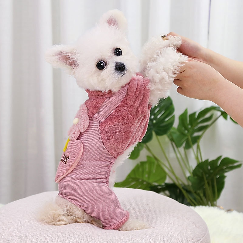Dog Cat Jumpsuit Fashion Casual Winter Waterproof Warm Breathable Soft Washable Casual Daily Dog Clothing for Bichon Frise Pomeranian Baby Pet Papillon Small