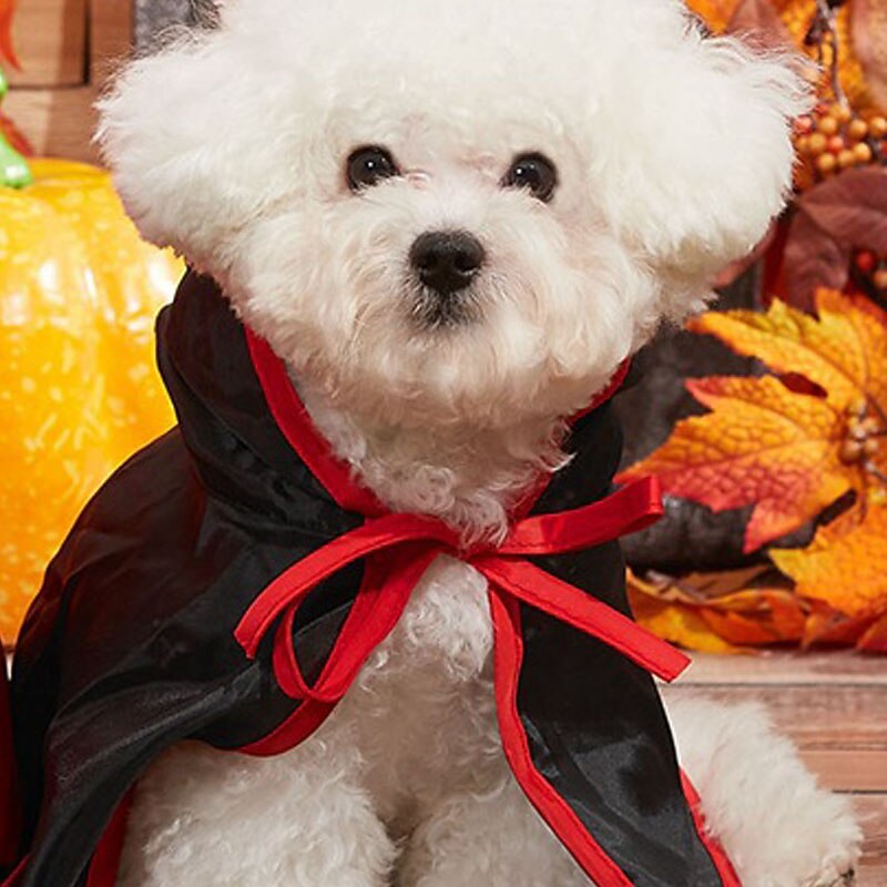 Dog Cat Cloak Halloween Outfit Fashion Cool Winter Breathable Soft Washable Comfortable Halloween Outdoor Casual Daily Dog Clothing for Bichon Frise Pomeranian Baby Pet Papillon Small3