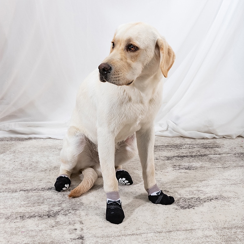 Dog Cat Socks Sports Minimalist Casual Daily Winter Warm Washable Comfortable Outdoor Traveling Casual Daily Walking Dog Clothing for Husky Labrador Golden Retriever Corgi Bichon Frise2