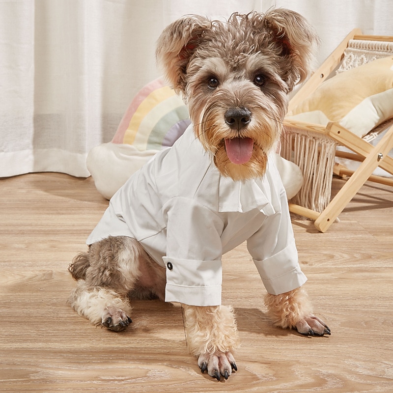 Dog Cat T-shirts Fashion Casual Winter Breathable Soft Washable Comfortable Outdoor Casual Daily Dog Clothing for Bichon Frise Pomeranian Baby Pet Papillon Small2