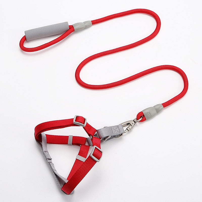 Dog Traction Rope Plain Macaron Round Rope Pet Chest Strap Small And Medium-sized Dog Walking Chain Collar2