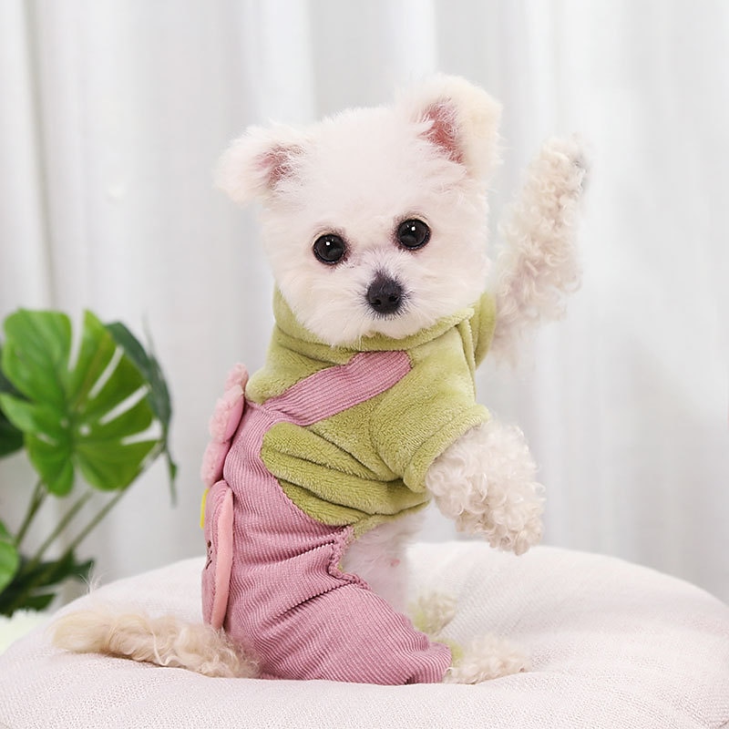 Dog Cat Jumpsuit Fashion Casual Winter Waterproof Warm Breathable Soft Washable Casual Daily Dog Clothing for Bichon Frise Pomeranian Baby Pet Papillon Small4