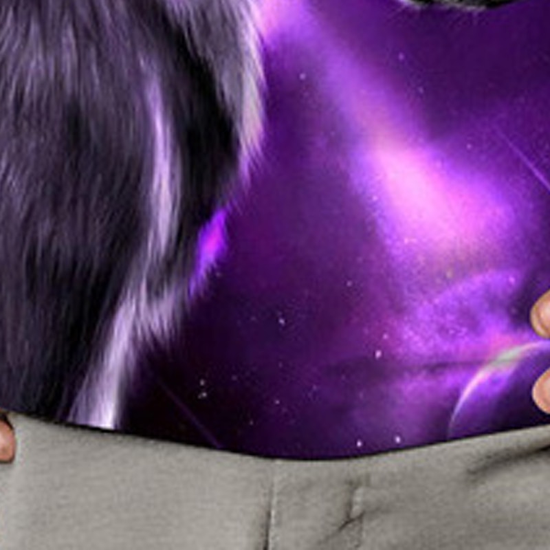 Boys 3D Animal Wolf T shirt Tee Long Sleeve 3D Print Fall Winter Sports Fashion Streetwear Kids 3-12 Years Outdoor Casual Daily Regular Fit4