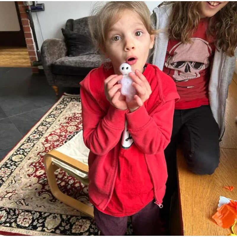 Adopt A Ghost, Halloween Gift Cute Ghost Little Felt Ghost Box with Tiny Scroll, Felt Ghost Gift Box, Cute Ghost Matchbox Gift, Ghost Ornament for Friends Family3