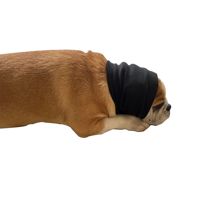 Dog Cat Bandanas & Hats Fashion Cute Winter Breathable Soft Washable Comfortable Outdoor Casual Daily Dog Clothing for Bichon Frise Pomeranian Baby Pet Papillon Small3